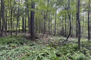 Racht Rd, Honesdale, PA 18431 - Photo 1