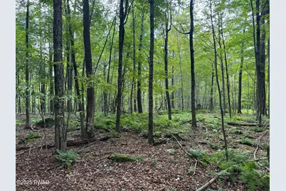 Racht Road, Honesdale, PA 18431 - Photo 2