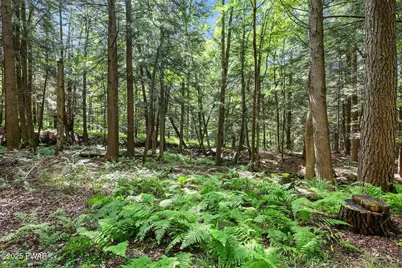 749 Rose Hill Road, Lake Como, PA 18437 - Photo 66