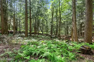 749 Rose Hill Rd, Lake Como, PA 18437 - Photo 66