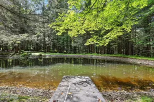 749 Rose Hill Rd, Lake Como, PA 18437 - Photo 62