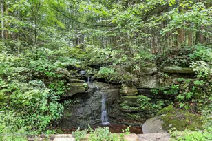 749 Rose Hill Rd, Lake Como, PA 18437 - Photo 8