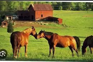 Lot 136 Cherry Blossom Ln, Bushkill, PA 18324 - Photo 6