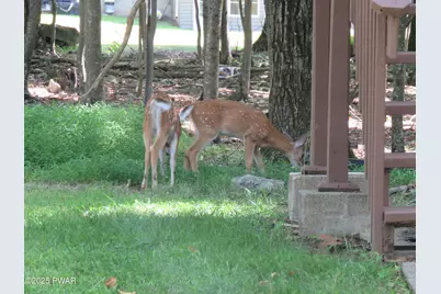180 Chokeberry Drive, Milford, PA 18337 - Photo 26