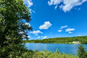 76 S Shore Rd, Pleasant Mount, PA 18453 - Photo 8