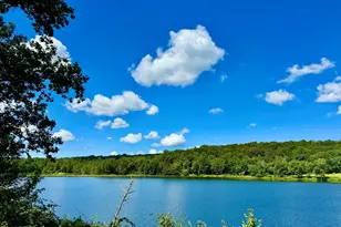 76 S Shore Rd, Pleasant Mount, PA 18453 - Photo 6