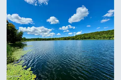 76 S Shore Road, Pleasant Mount, PA 18453 - Photo 1