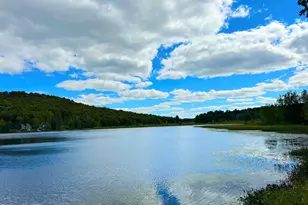 76 S Shore Rd, Pleasant Mount, PA 18453 - Photo 2