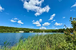 76 S Shore Rd, Pleasant Mount, PA 18453 - Photo 28