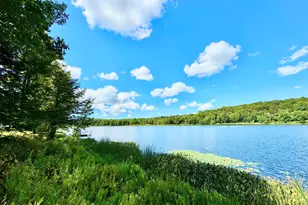 76 S Shore Rd, Pleasant Mount, PA 18453 - Photo 26