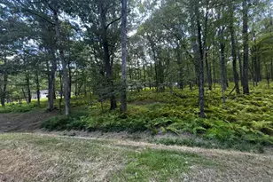 214 Lower Lakeview Dr, Hawley, PA 18428 - Photo 28