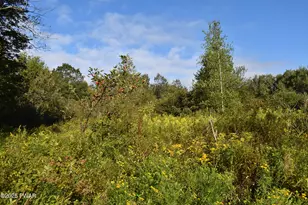 430 Flat Rock Rd, Forest City, PA 18421 - Photo 2