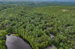 148 Lake Shore Dr, Dingmans Ferry, PA 18328 - Photo 74