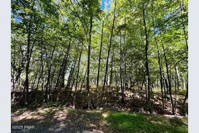 Lot 425 Corner Squirrel & Robin Lane, Dingmans Ferry, PA 18328 - Photo 2