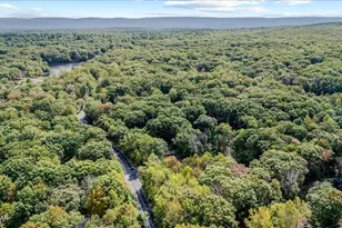 104 Lakeview Dr, Dingmans Ferry, PA 18328 - Photo 36