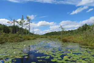 23 Little Spruce Ln Ln, Lakewood, PA 18439 - Photo 6