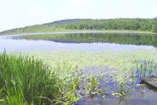 23 Little Spruce Ln Ln, Lakewood, PA 18439 - Photo 8