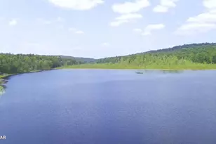 23 Little Spruce Ln Ln, Lakewood, PA 18439 - Photo 42