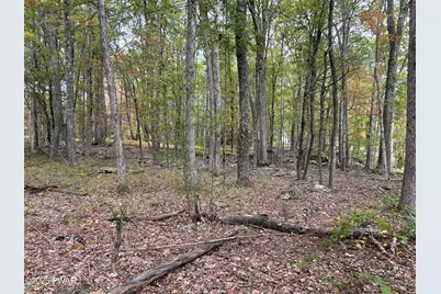 120 Basswood Drive, Lords Valley, PA 18428 - Photo 12