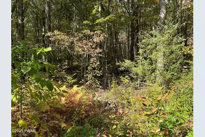 120 Basswood Drive, Lords Valley, PA 18428 - Photo 8