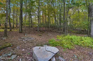 119 Manor Ln, Canadensis, PA 18325 - Photo 6