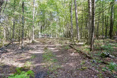 146 Spencer Road, Dingmans Ferry, PA 18328 - Photo 34