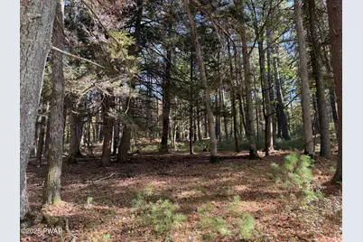 Center Rd Road, Dingmans Ferry, PA 18328 - Photo 8