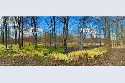 1008 Woodstone Road, Newfoundland, PA 18445 - Photo 26