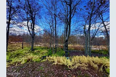 1008 Woodstone Road, Newfoundland, PA 18445 - Photo 28