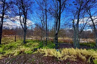 1008 Woodstone Rd, Newfoundland, PA 18445 - Photo 28