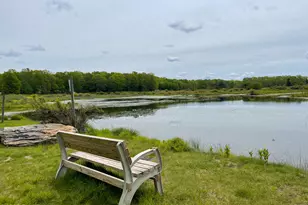 173 Conashaugh Trl, Milford, PA 18337 - Photo 34