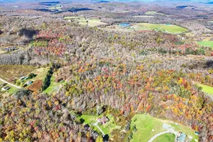 223 Rainbow Rd, Lakewood, PA 18439 - Photo 60