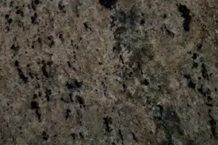 101 Bear Trap Mountain Rd, Greentown, PA 18426 - Photo 20