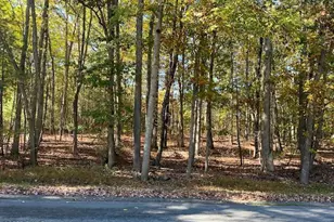 Lot 3 Aspen Rd, Dingmans Ferry, PA 18328 - Photo 1
