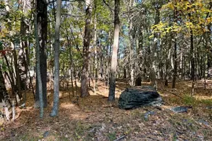 Lot 33 Primrose Ln, Dingmans Ferry, PA 18328 - Photo 1