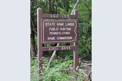 706 Pine Mill Road, Equinunk, PA 18417 - Photo 14