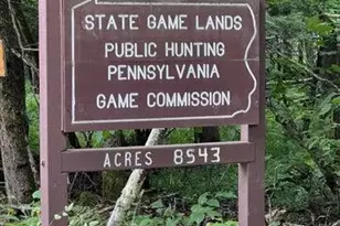 706 Pine Mill Rd, Equinunk, PA 18417 - Photo 14