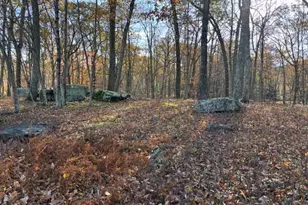 240 Mountain Top Dr, Dingmans Ferry, PA 18328 - Photo 6