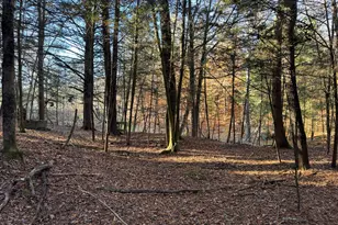 166 High Bridge Rd, Milanville, PA 18443 - Photo 14