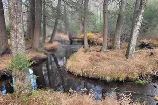 250 Wild Meadow Dr, Milford, PA 18337 - Photo 44