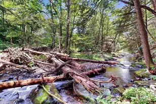 160 Mountain Springs Rd, Milford, PA 18337 - Photo 8