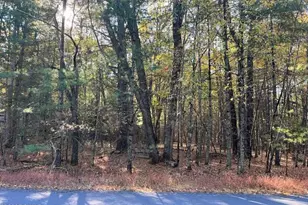 Lot 40 Lake Forest Dr, Dingmans Ferry, PA 18328 - Photo 1