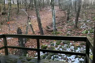 2242 Apley Ct, Bushkill, PA 18324 - Photo 36