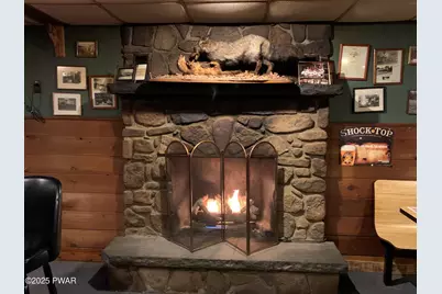 905 Pa Route 390, Greentown, PA 18426 - Photo 16