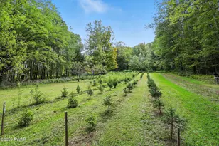 36 Stone Bridge Ln, Forest City, PA 18421 - Photo 84
