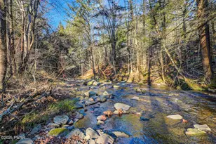 536A Fall Brook Rd, Starlight, PA 18461 - Photo 118