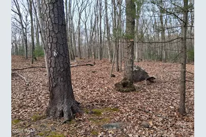 Lot 137 Shohola Lane, Shohola, PA 18458 - Photo 4