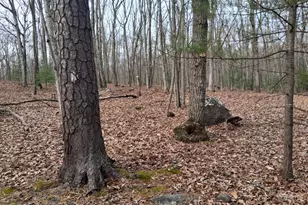 Lot 137 Shohola Ln, Shohola, PA 18458 - Photo 4