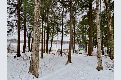 50 Forest Road, Poyntelle, PA 18454 - Photo 30