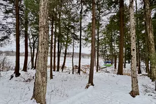 50 Forest Rd, Poyntelle, PA 18454 - Photo 30